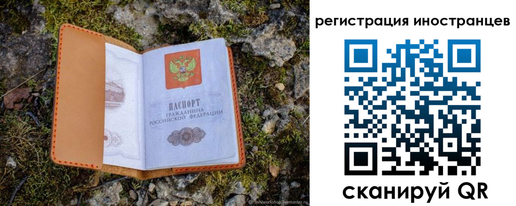 прописка паспорт в Почепе