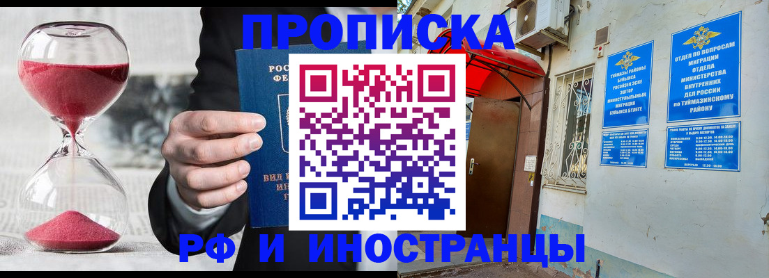 прописка 2025 в Почепе